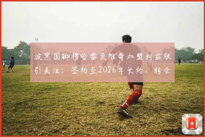 波黑国脚穆哈雷莫维奇加盟利兹联引关注：签约至2026年长约，转会费与球员技术特点全解析