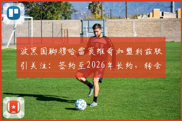 波黑国脚穆哈雷莫维奇加盟利兹联引关注：签约至2026年长约，转会费与球员技术特点全解析